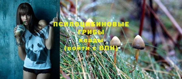 а пвп мука Арсеньев