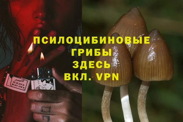 тгк Аркадак